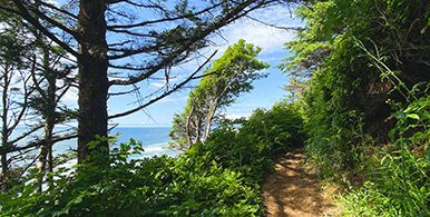 Cape Lookout Trail