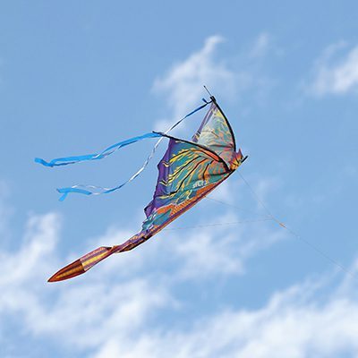 Lincoln City Fall Kite Festival
