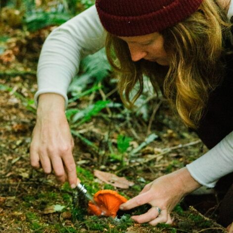 Mushroom foraging near Headlands Coastal Lodge and Spa
